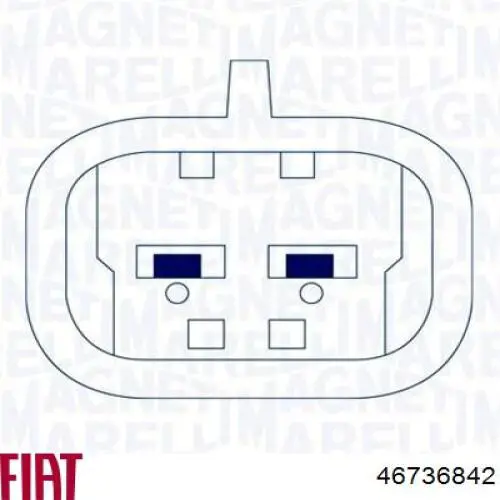 Mecanismo de elevalunas, puerta delantera derecha Fiat Palio 178DX