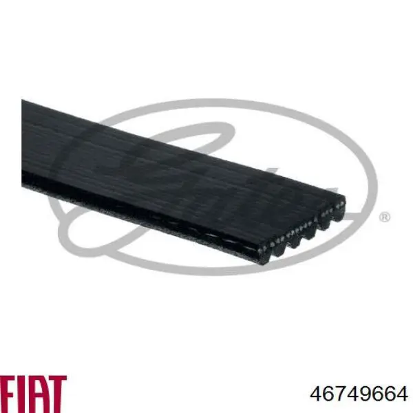 Correa de transmisión trapezoidal Fiat/Alfa/Lancia 46749664 precio, desde 21,18 EUR