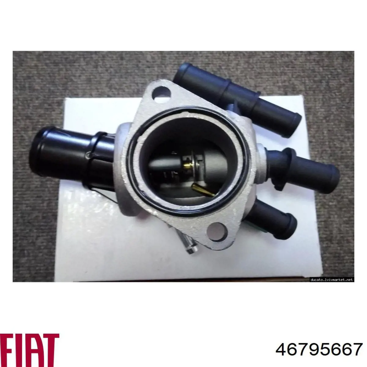 Comprar 46795667 Fiat/Alfa/Lancia Caja de termostato