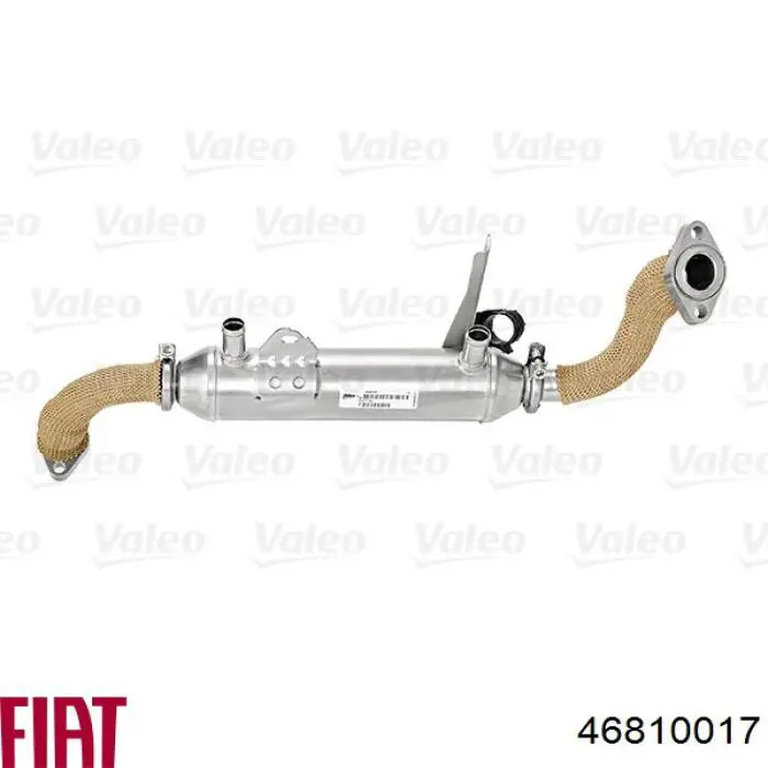 Enfriador de recirculación de gases de escape EGR Fiat/Alfa/Lancia 46810017 precio, desde 142,60 EUR