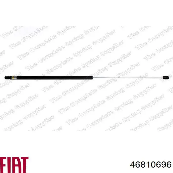 Comprar 79691 Asam Amortiguador de puerta trasera