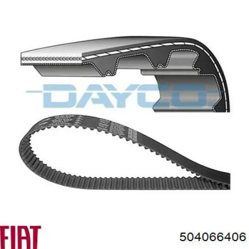 504066406 Fiat/Alfa/Lancia correa distribucion