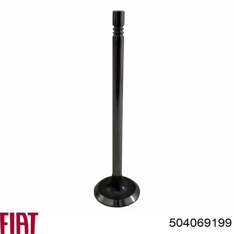 504069199 Fiat/Alfa/Lancia Válvula de admisión