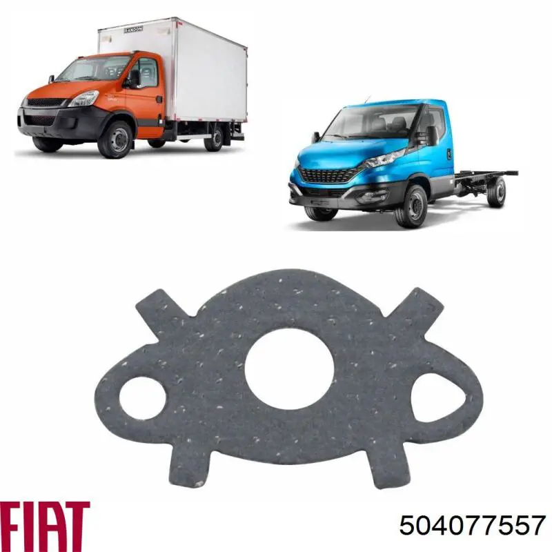 Junta de radiador de aceite Iveco Daily 5 