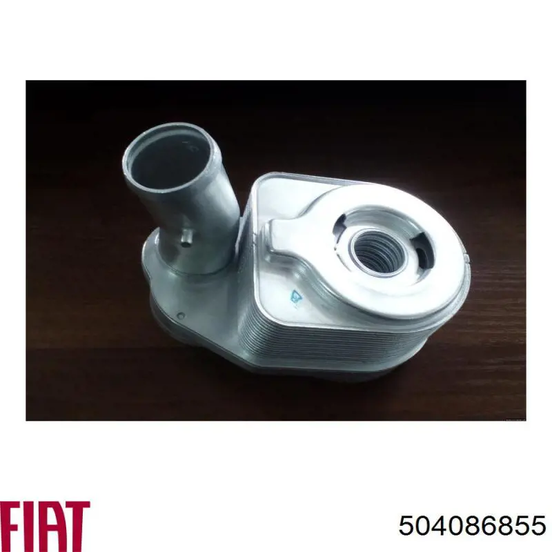 Radiador de aceite Fiat/Alfa/Lancia 504086855 precio, desde 40,78 EUR