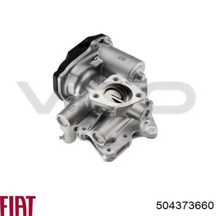 Válvula de regulación de gases Fiat/Alfa/Lancia 504373660 precio, desde 292,06 EUR