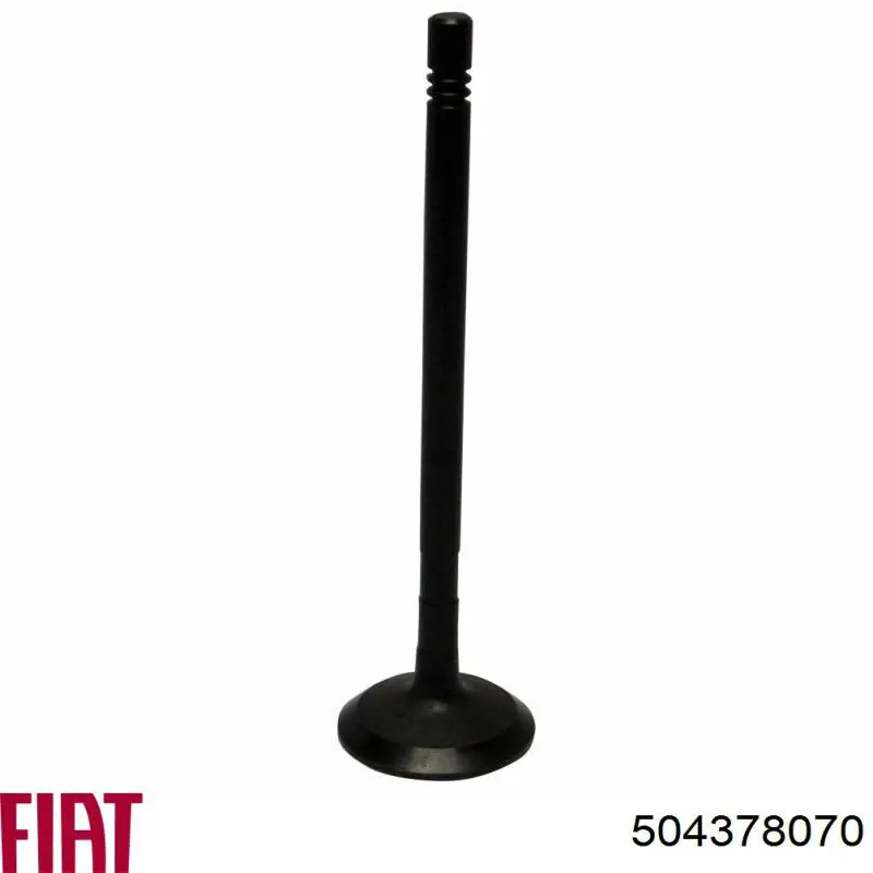 Válvula de escape Fiat/Alfa/Lancia 500362856 precio, desde 16,27 EUR
