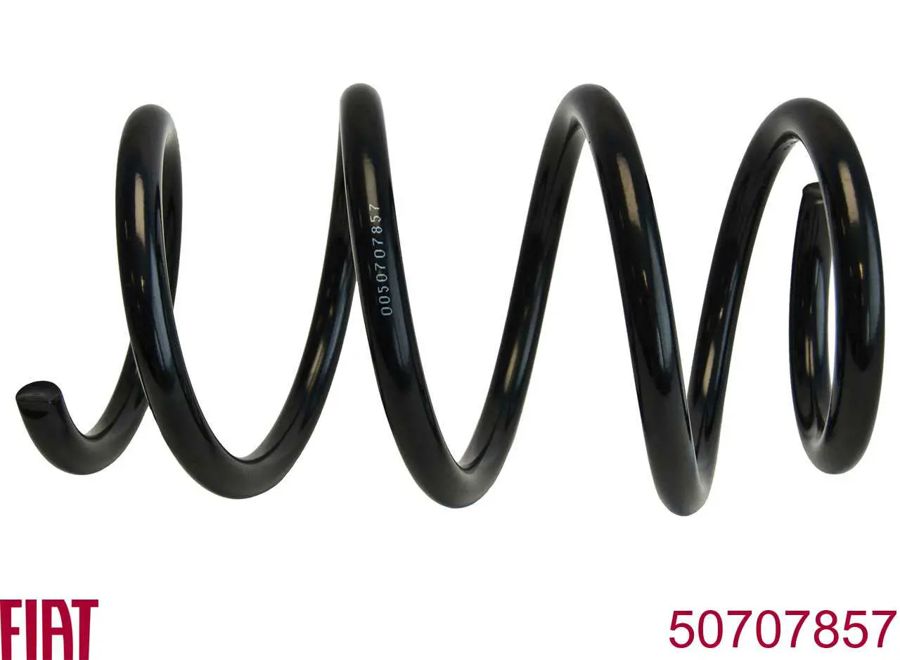 Muelle delantero 50707857 Fiat/Alfa/Lancia