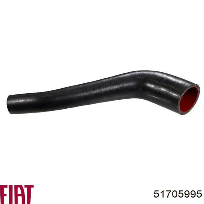 51705995 Fiat/Alfa/Lancia Manguera del intercooler