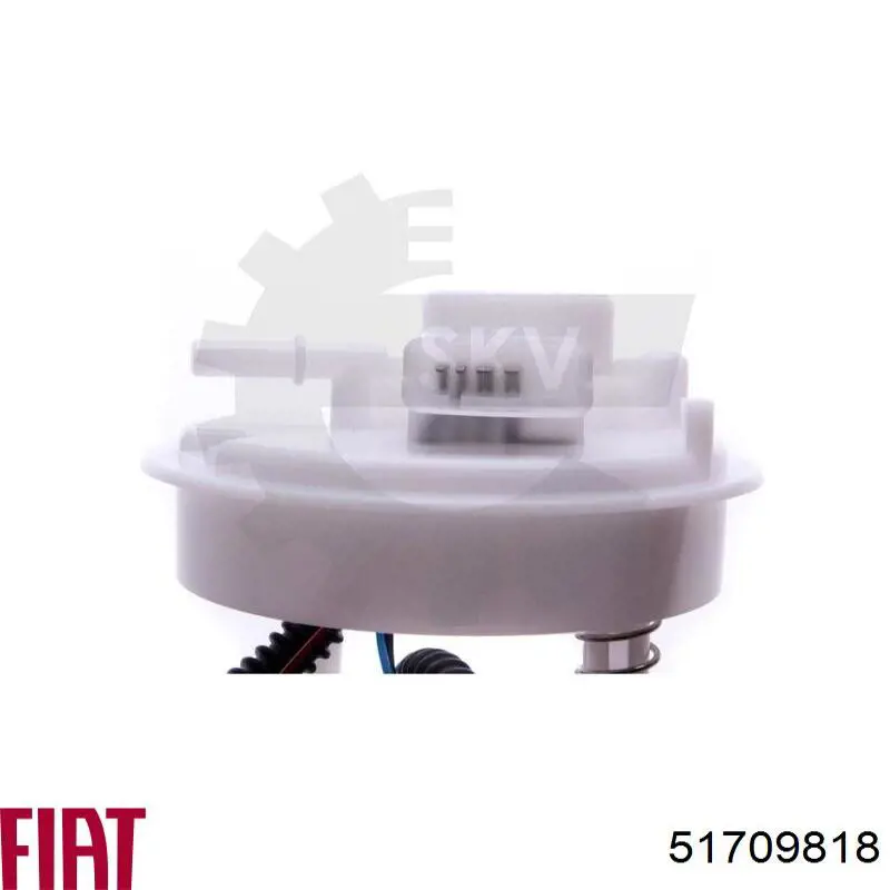 Bomba de combustible Fiat/Alfa/Lancia 51709818