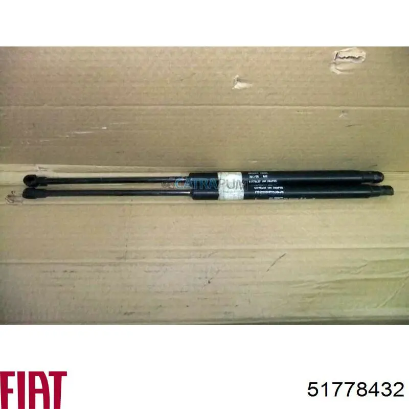 Comprar 51778432 Fiat/Alfa/Lancia Amortiguador de puerta trasera