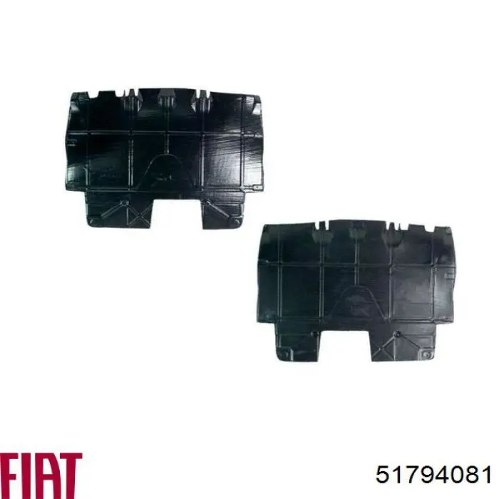 Comprar 51794081 Fiat/Alfa/Lancia Protección motor / empotramiento