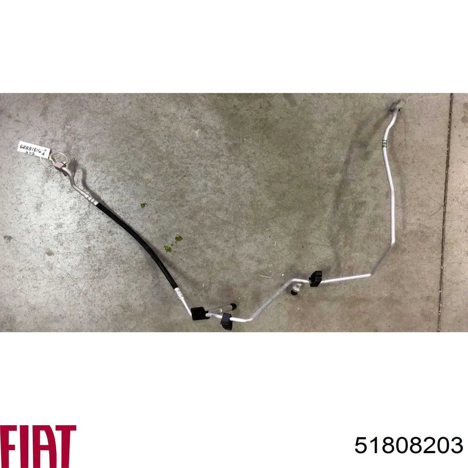 51808203 Fiat/Alfa/Lancia 