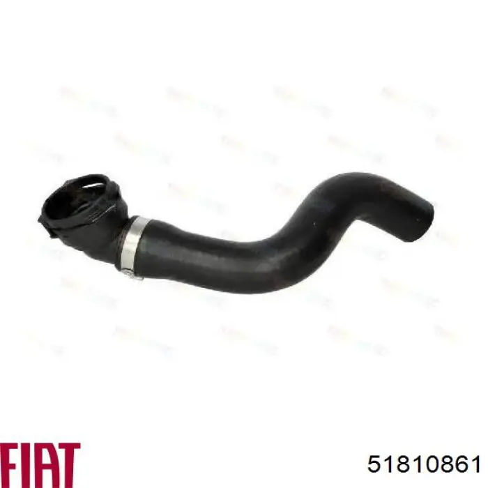 Manguera superior del radiador 51810861 Fiat/Alfa/Lancia