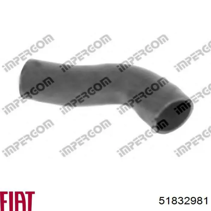 Tubo flexible de aire de sobrealimentación para Fiat Doblo (152)