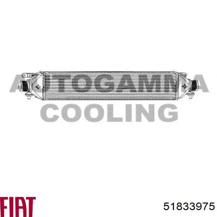 Radiador de aire de admisión Fiat/Alfa/Lancia 51833975 precio, desde 75,80 EUR