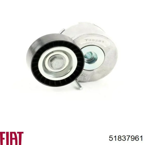 Tensor de la correa trapecial Fiat/Alfa/Lancia 51837961 precio, desde 33,59 EUR