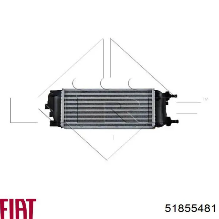 Comprar 51855481 Fiat/Alfa/Lancia Turbo intercooler