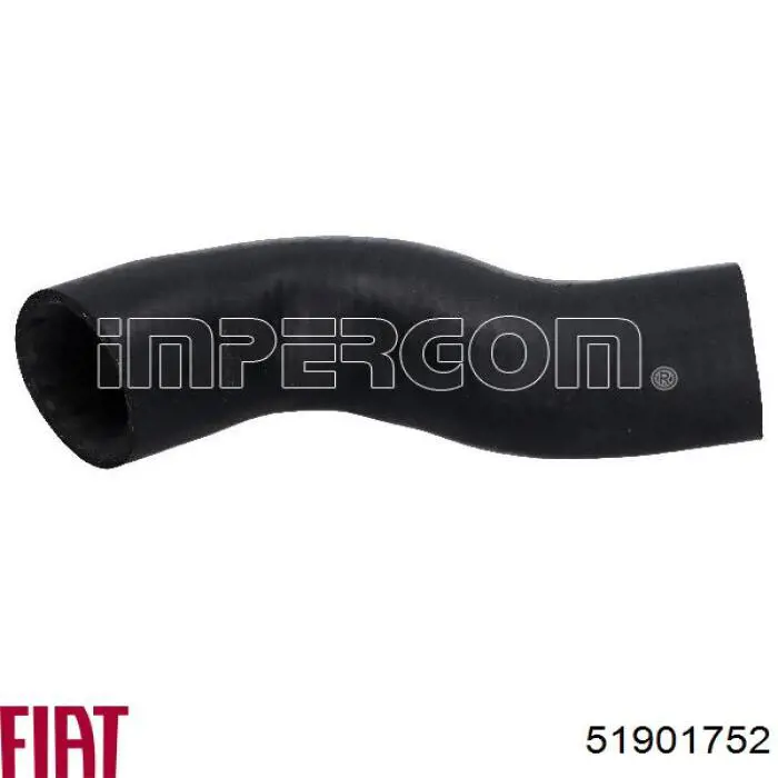 Comprar 51901752 Fiat/Alfa/Lancia Tubo intercooler