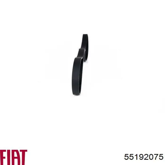 Correa trapezoidal Alfa Romeo 147 937