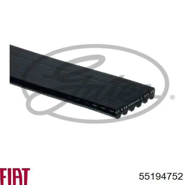 Correa de transmisión trapezoidal Fiat/Alfa/Lancia 55194752 precio, desde 23,29 EUR