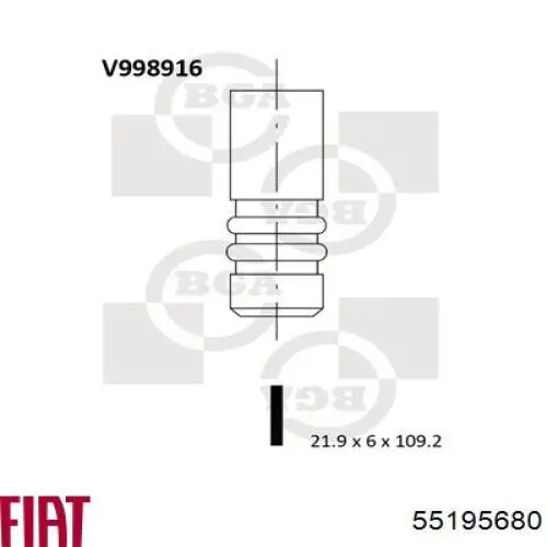 55219966 Peugeot/Citroen válvula de admisión