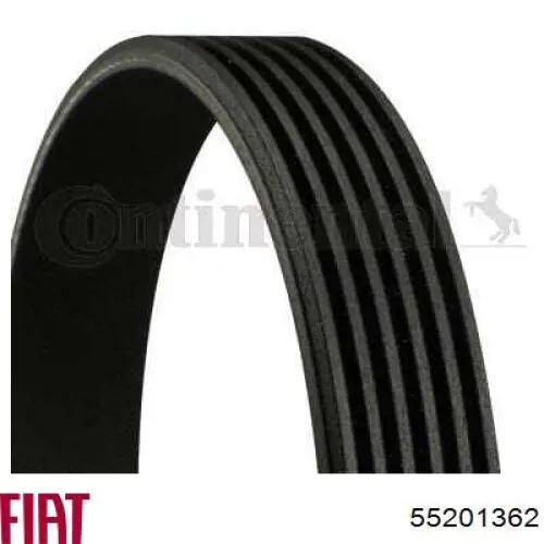 Comprar 55201362 Fiat/Alfa/Lancia Correa trapezoidal