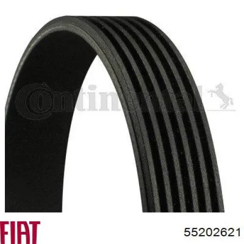 Comprar 55202621 Fiat/Alfa/Lancia Correa trapezoidal