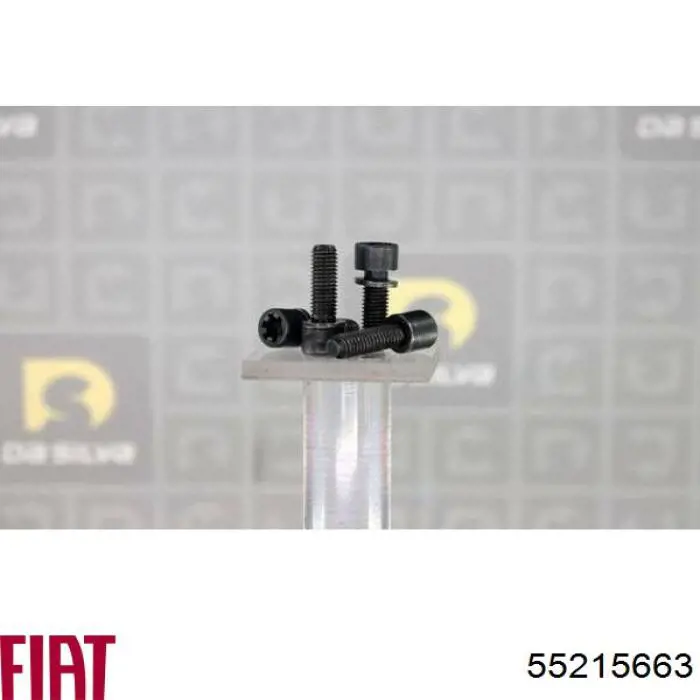 Perno de la polea del cigüeñal Fiat/Alfa/Lancia 46441027 precio, desde 20,24 EUR