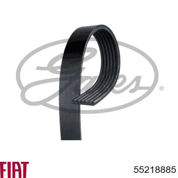 Comprar 55218885 Fiat/Alfa/Lancia Correa trapezoidal