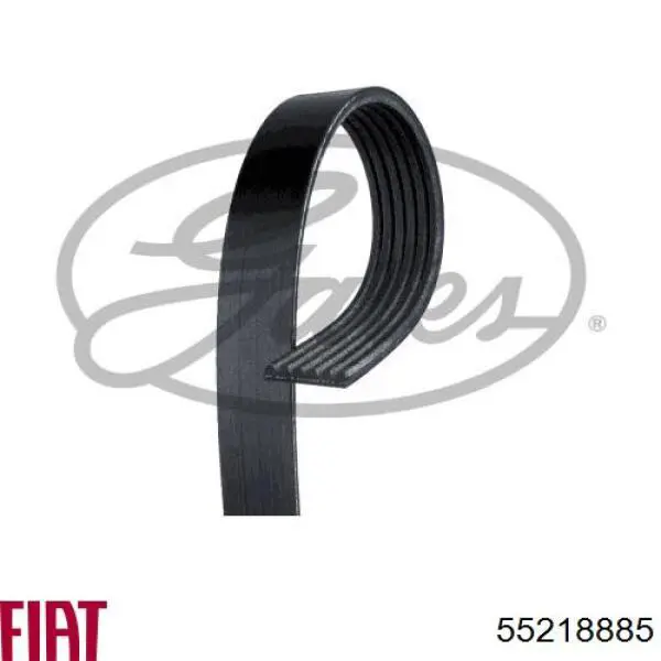 Correa de alternador 55218885 Fiat/Alfa/Lancia