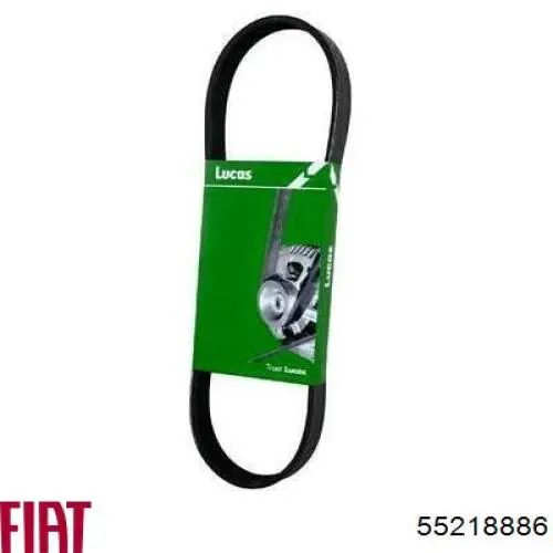 55218886 Fiat/Alfa/Lancia Correa poly v
