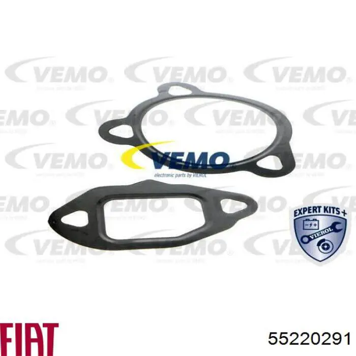 Comprar 55220291 Fiat/Alfa/Lancia Válvula EGR