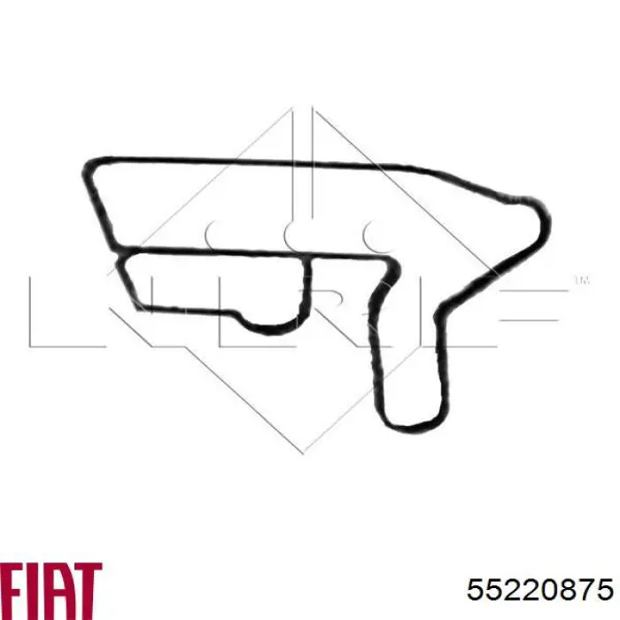 55220875 Fiat/Alfa/Lancia caja, filtro de aceite