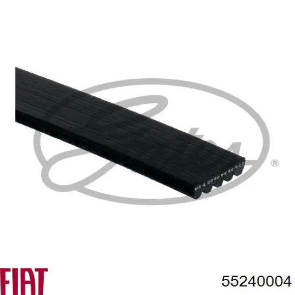 Correa de alternador 55240004 Fiat/Alfa/Lancia