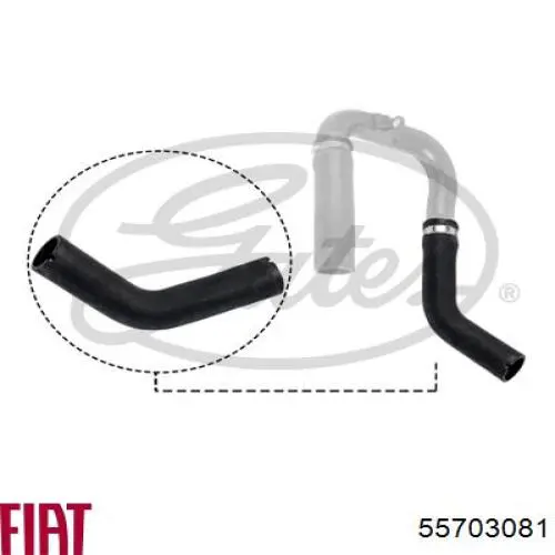 Manguera del intercooler Metalcaucho 09899 precio, desde 10,22 EUR
