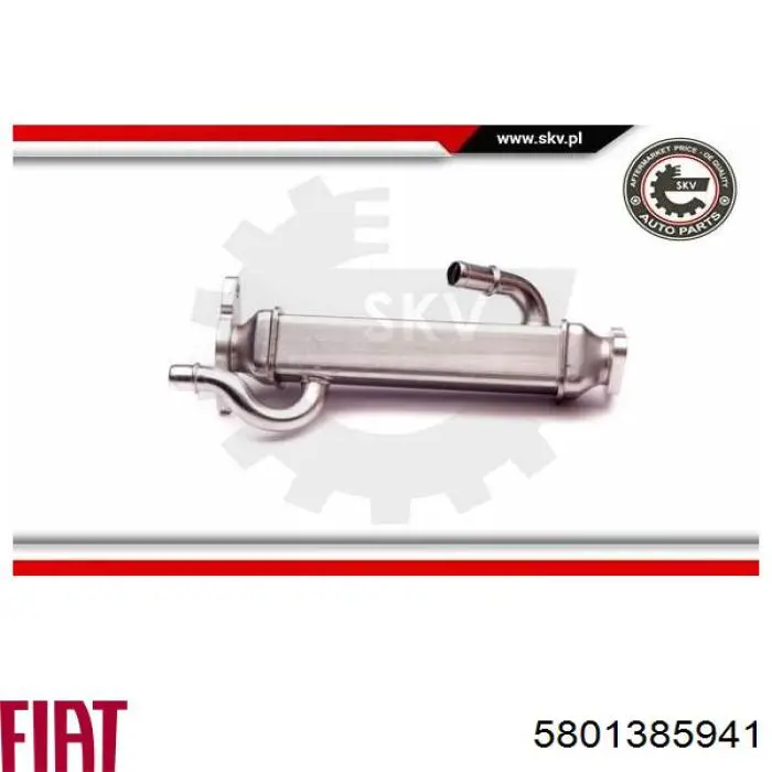 Válvula EGR 108842 Febi