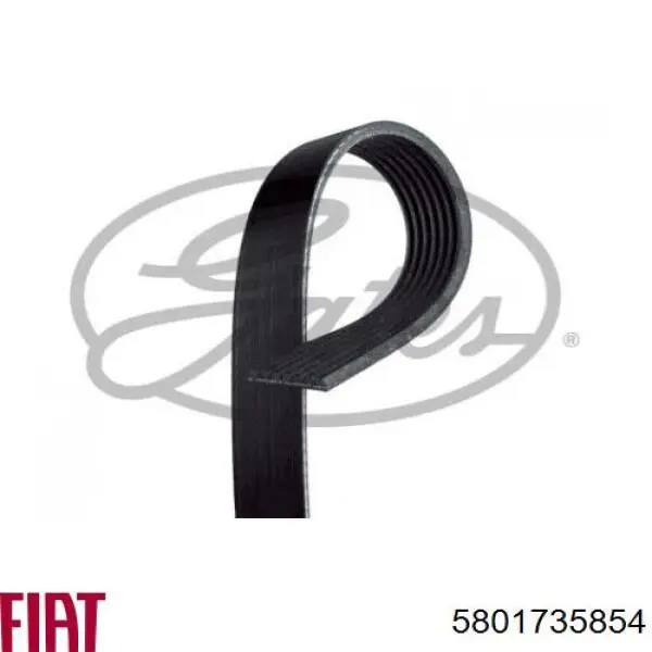 5801735854 Fiat/Alfa/Lancia Correa poly v