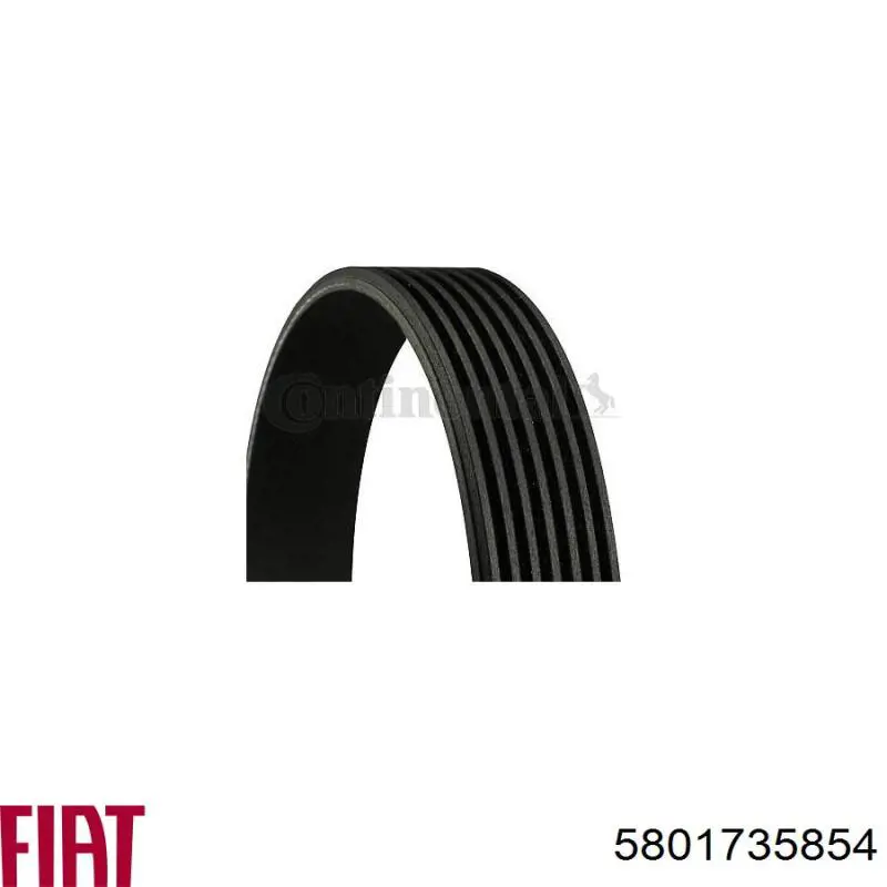 Correa de transmisión trapezoidal Fiat/Alfa/Lancia 5801735854 precio, desde 16,41 EUR