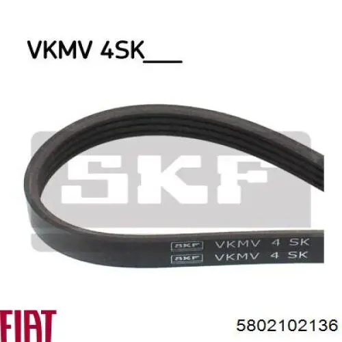 Correa de transmisión trapezoidal Fiat/Alfa/Lancia 5802102136 precio, desde 9,88 EUR