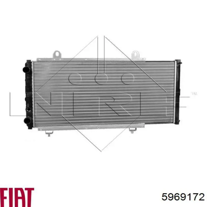 Água radiador Fiat/Alfa/Lancia 5969172 precio, desde 110,82 EUR