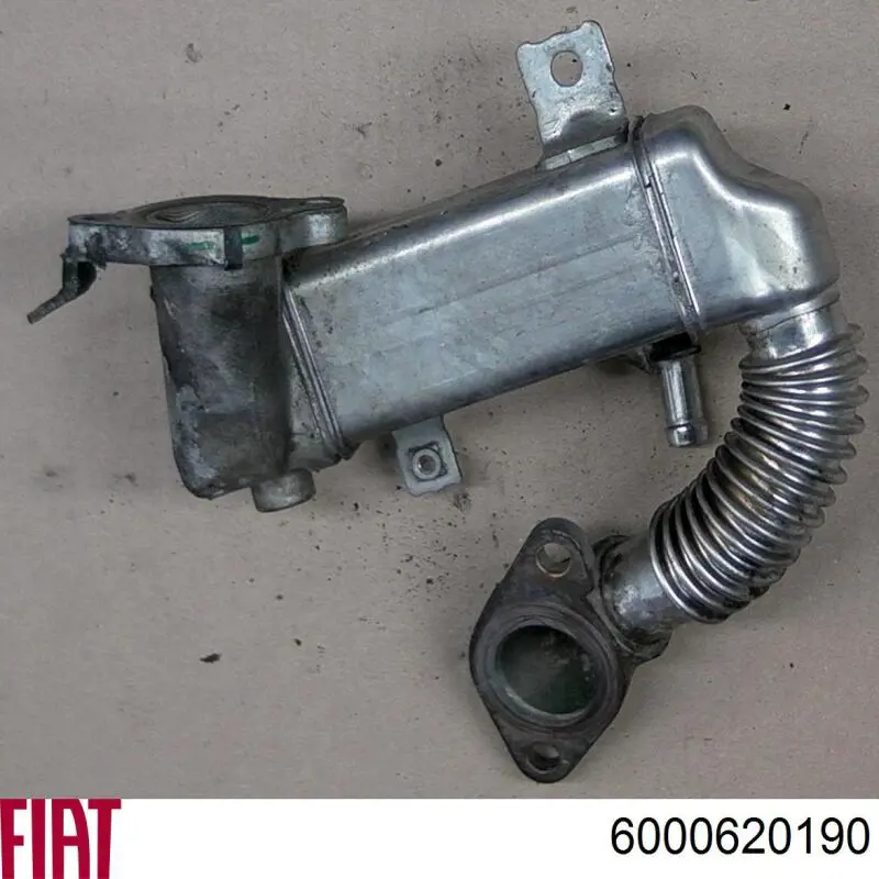 6000620190 Fiat/Alfa/Lancia