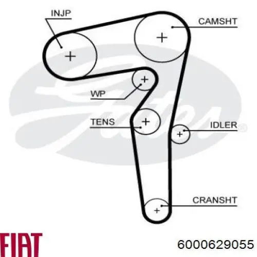 6000629055 Fiat/Alfa/Lancia