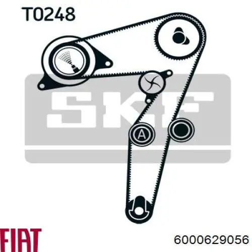 Juego de correas dentadas Fiat/Alfa/Lancia 6000629056 precio, desde 96,91 EUR