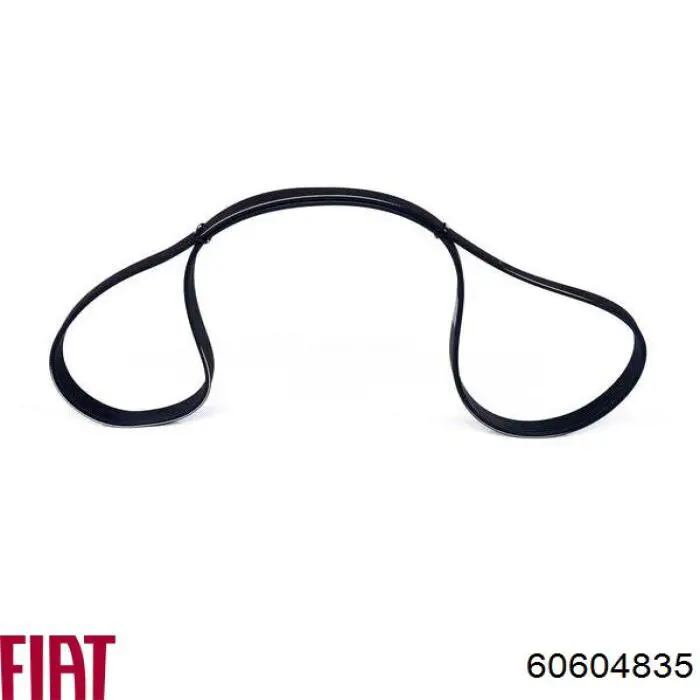 60604835 Fiat/Alfa/Lancia Correa poly v