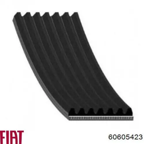 Correa de alternador 60605423 Fiat/Alfa/Lancia