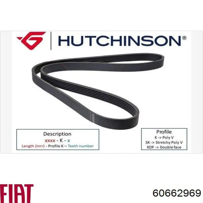 Correa trapezoidal Peugeot Partner 1 5F