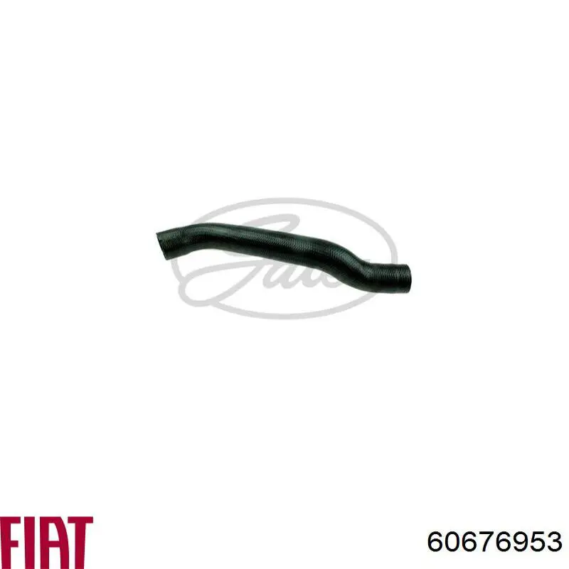 60676953 Fiat/Alfa/Lancia tubo flexible de aire de sobrealimentación inferior