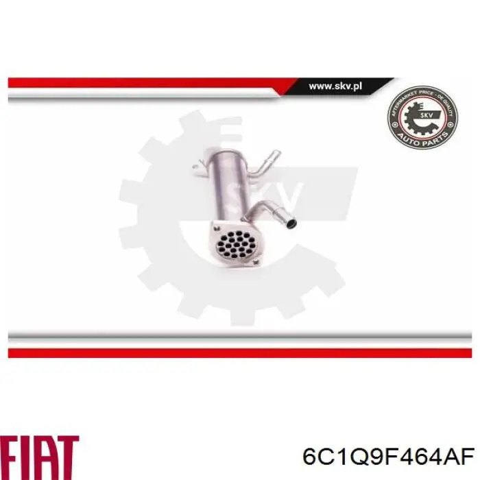 6C1Q9F464AF Fiat/Alfa/Lancia