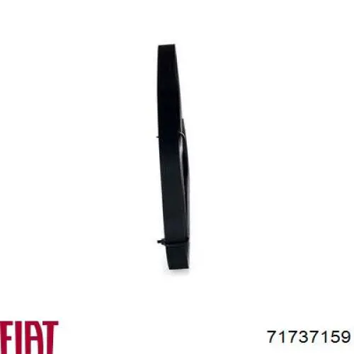 Correa de transmisión trapezoidal Fiat/Alfa/Lancia 71737159 precio, desde 10,36 EUR